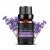 Import 10ml 24 packs a set Lavender Rose Sunshine Ocean Jasmine Sandalwood natural pure essential oil from China