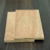 1220*2440*18mm okoume commercial plywood bintangor plywood