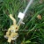 Import 1/2&quot; Zinc Alloy garden sprinkler from China