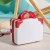 14 Inch Mini Hard Shell Cosmetic Case Luggage Travel Portable Carrying Makeup Storage Box Bag Suitcase
