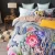 Import 2017 popular 100% polyester printing fabric for bedding set and other home textiles from China