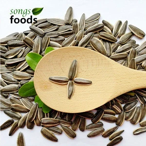 2018 Crop Wholesale  Raw Sunflower Seeds in Shell