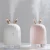 Import 2019 Home Appliances Air Conditioning Appliances Portable Ultrasonic Aroma Humidifier Diffuser Cool Air Humidifier from China