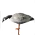 Import 2019 new product high quality EVA material hunting decoy goose,  goose decoy from China