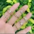 Import 2021 Hot selling  24K Gold Women Color Zircon Stone Ring Wedding Engagement Zirconia Band Ring from China