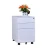 Import 3 Drawers Index Card File Cabinet Mobile Filing Cabinets from China