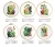 Import 3D Embroidery DIY Cross Stitch Kits Cartoon Flower Patterns Needlework Set with Embroidery Hoop Handmade Arts Crafts Sewing Gift from China