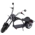Import 48v 1500 watts electric scooter from China
