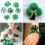 Import 500 Pieces St. Patrick&#39;s Day Chenille Stem Pipe Cleaners Set for Craft Party Supplies 4 Size Pom Poms 4 Size Wiggle Googly Eyes from China