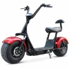 800W Citycoco/Seev/Woqu 2 Wheel Self Balancing Handicap Electric Scooter