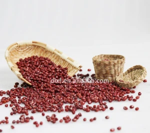 adzuki red beans adzuki fasulye small red bean for sale china price healthy food