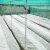 Agricultural anti insect for greenhouse covering,50 mesh 100gsm HDPE insect proof mesh screen,weave plant protect garden netting