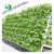 Import agricultural vertical farming Hydroponic System Tunnel Multi span plastic Film Greenhouse from China