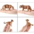Import Amazon Hot Selling Animal Toys Model Figure Leopard Toy from China