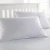 Import America&#39;s Hypo-Allergenic Queen Size Bed Pillow from USA