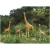 Import Amusement Park Equipment Life Size Animal Statues Fiberglass Animal Zebra Sculpture For Decor from China