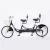 Import Anti-theft 24inch smart lock customized two seat tandem public touring bike bicycle from China