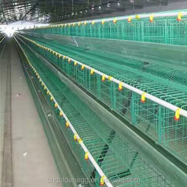 automatic water drinkers for chickens