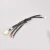 Import Automobile wire harness assembly professional manufacturer customized wiring cable assembly vehicle wire from China