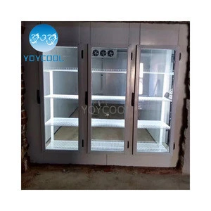 banana ripening machine cold storage cold room for garden room cooler