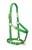 Import Basic Adjustable Halter Show Jumping padded from Pakistan
