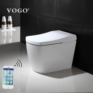 Bathroom intelligent smart electric bidet toilet