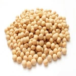 beans, soya beans, soybeans Seeds