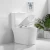 Import Beat selling grade A bathroom one piece s-tray ceramic closestool toilet from China