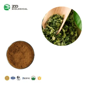 Best Herbal Product green tea extract powder 98% Tea polyphenol