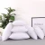 Import Best PP Cotton Custom Cushion Core Throw Pillow Filling For Sofa from China