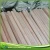 Import Best price of Wooden Round Eucalyptus Logs from China