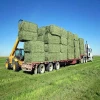 Best Quality Alfafa hay for animal feed