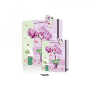 Best sell wholesale gift packaging Bag hot selling Foreign flower pattern Packaging