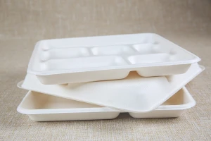Biodegradable Disposable Bagasse Airline Catering Food Paper Tray with Lid