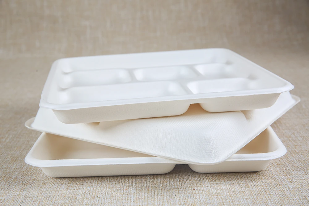 Biodegradable Disposable Bagasse Airline Catering Food Paper Tray with Lid