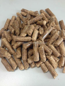 Biomass Wood Pellet Fuel