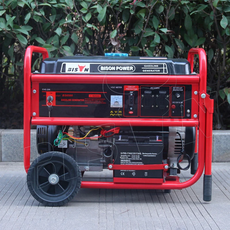 BISON China gasoline generators electric staring 1 kw ac generator price in india generator motor