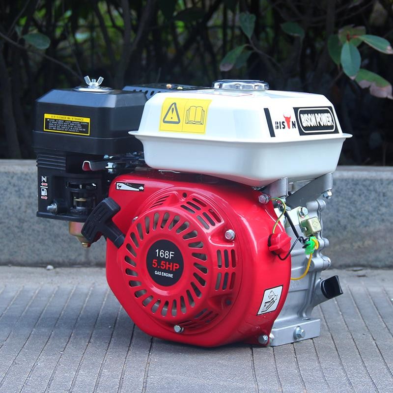 BISON(CHINA) Engine BS200 6.5hp 168f CE Approved Motor Engine Portable Water Pump Engine Gasoline