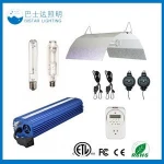 Bistar lighting 1000w110v 240V dimmable MH HPS ballast electronic