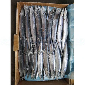 BQF Cheap Price with  Good Quality  for Frozen Pacific Saucy