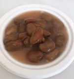 canned broad beans