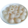 Canned Lychee/Litchi in syrup