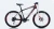 Import Carbon mountain bike/mountain bicycle from China