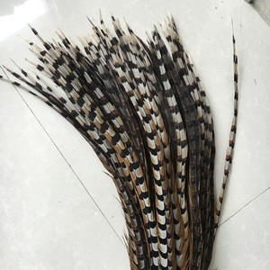 Carnival costume Reeve Pheasant tail feathers