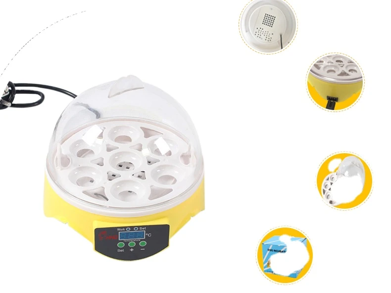 CE approved mini incubators hatching 7 eggs chicken eggs incubator/egg hatching machine on sale