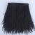 Import cheap ostrich Feathers Trims Fringe for  Dress Sewing Crafts from China