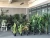 Import Cheap Plastic Small Ornamental indoor artificial fan Palm plants Leaves / wholesale mini artificial Livistona Plants Trees from China