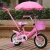 Import Cheap Price Kids Small Bicycle Bike Trailer for Children with Training Wheel from China