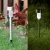 Import Cheap Price Outdoor Stainless Steel LED Solar Landscape Path Lights Garden Light Yard Lamp(JL-8504) from China