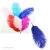 Cheap Wholesale Natural Colorful Ostrich Feathers for Weddings and Party Decoration